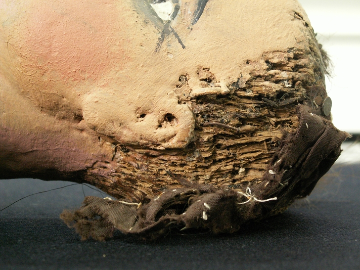 Particolare della testa lato sinistro